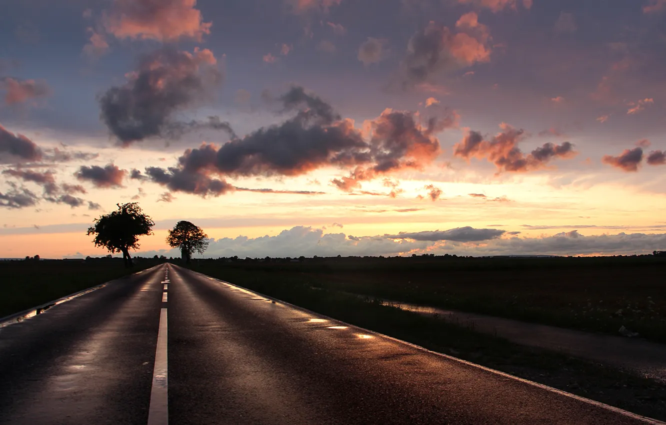 Фото обои road, field, evening, after the rain