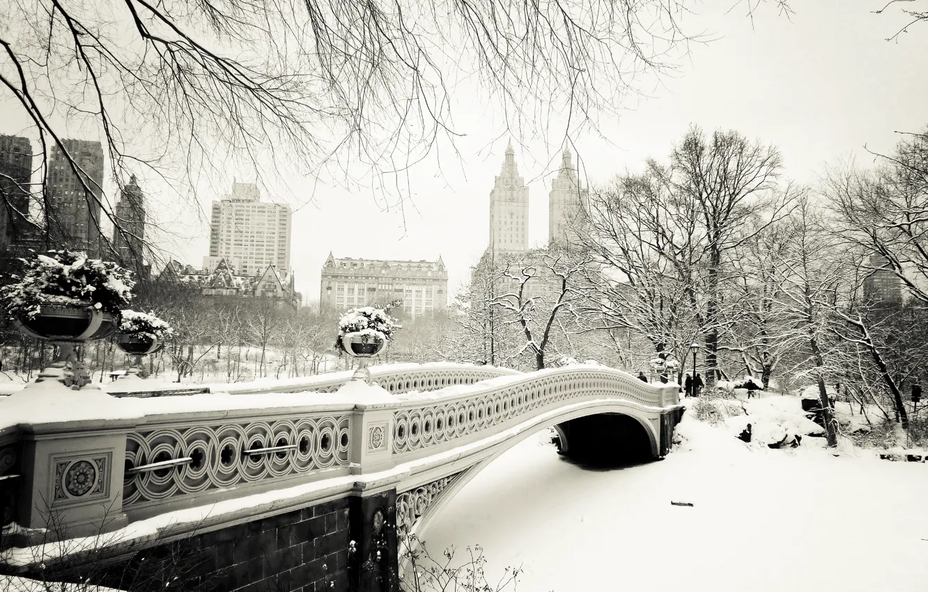 Фото обои зима, снег, деревья, природа, город, Нью-Йорк, USA, США