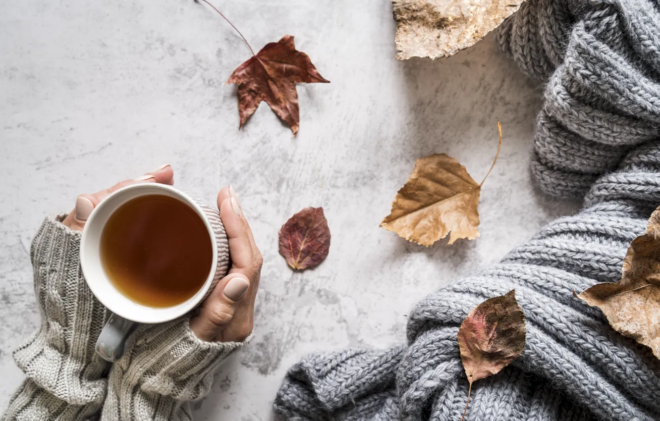Фото обои осень, листья, тепло, чай, руки, autumn, вязание, вязаная вещь