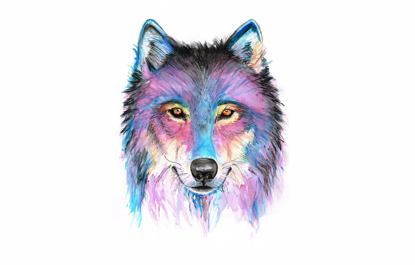Фото обои морда, краски, волк, wolf