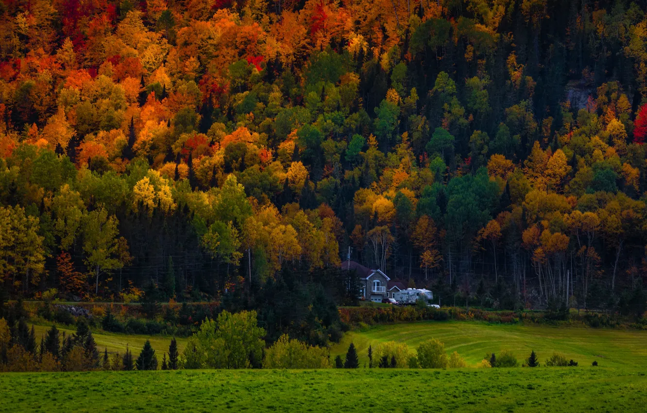 Фото обои осень, лес, деревья, горы, дом, склон, домик, особняк