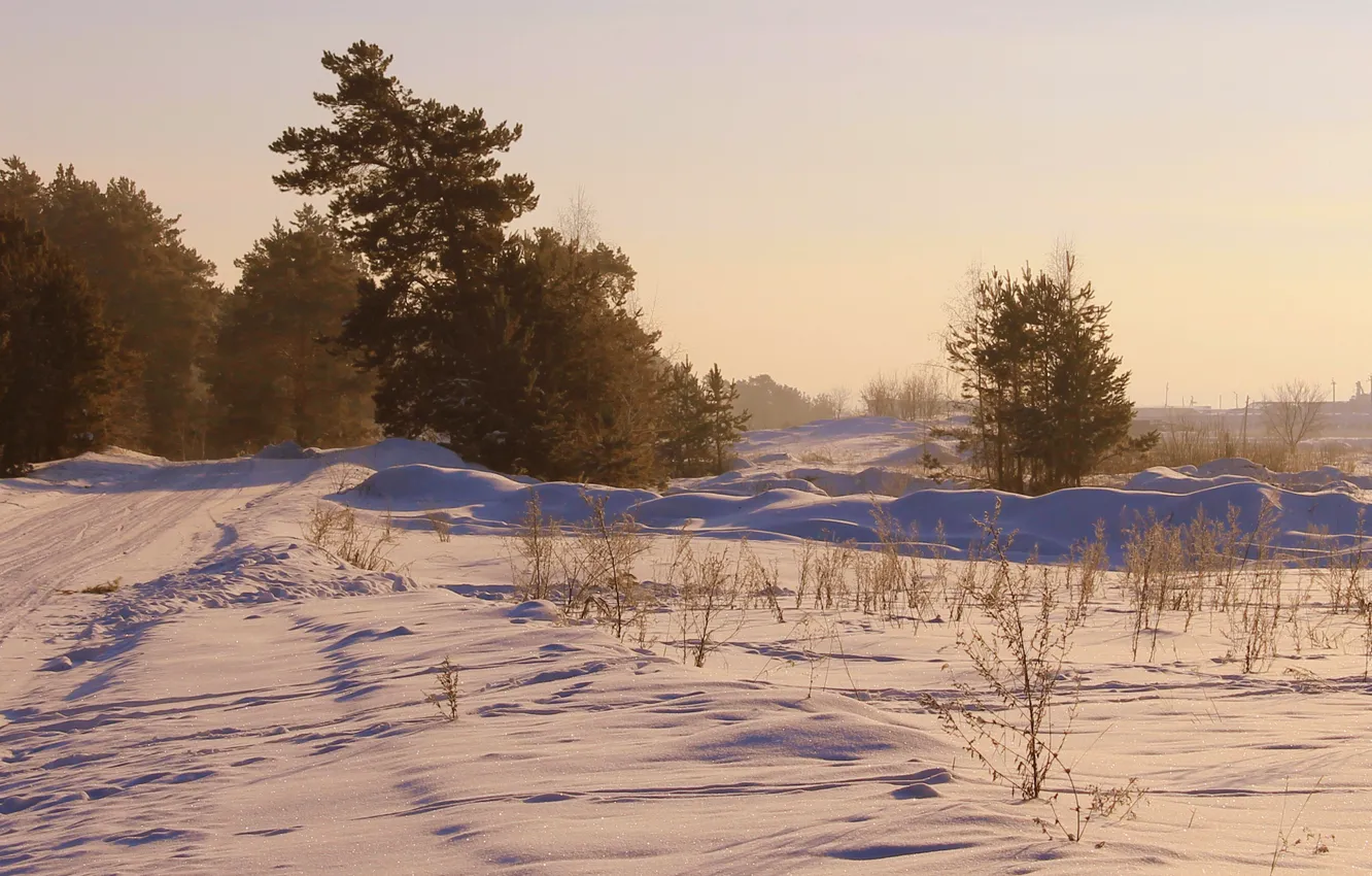Фото обои зима, дорога, поле, небо, снег, деревья, дымка