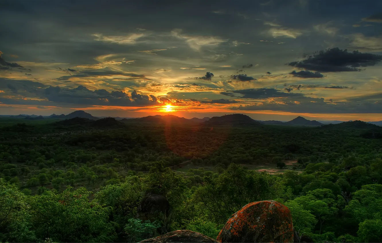 Фото обои лес, закат, sky, trees, sunset, the sun, African Sunset, zimbabwe