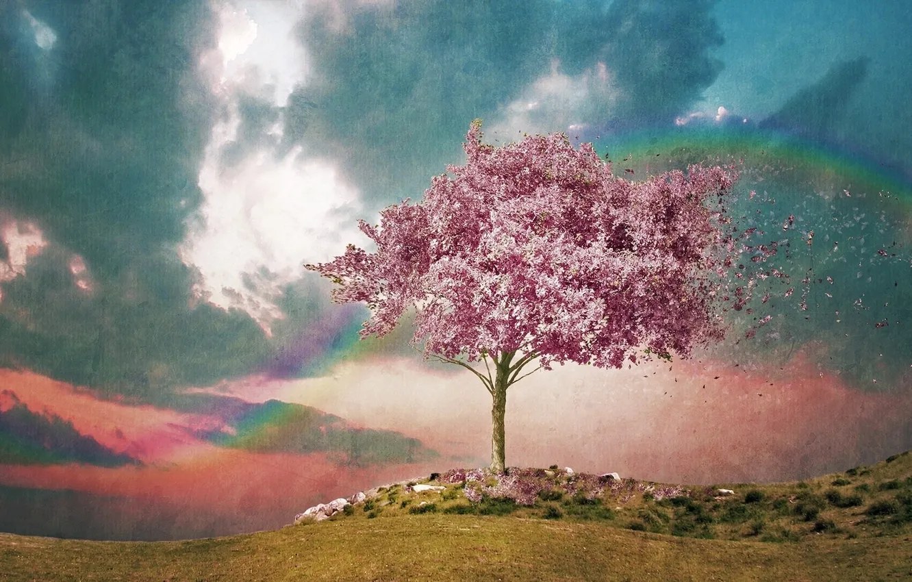 Фото обои поле, небо, пейзаж, цветы, дерево