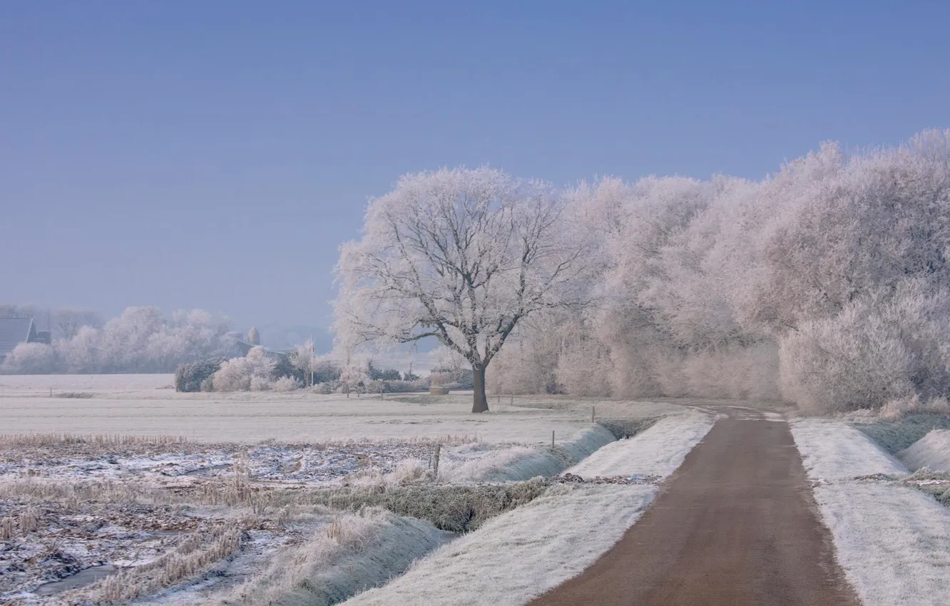 Фото обои зима, дорога, снег, деревья, пейзаж, природа, обои, wallpapers