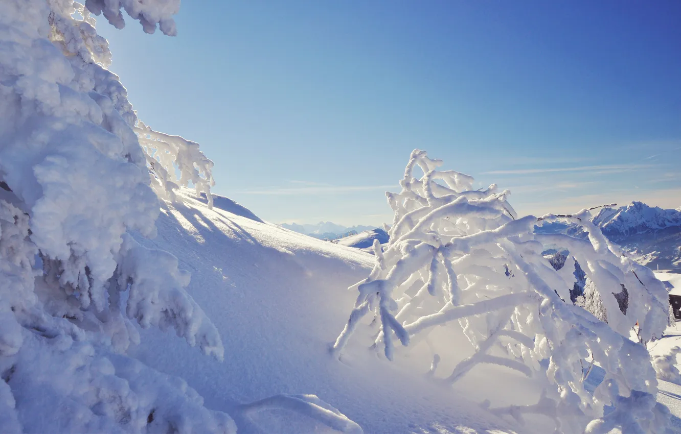 Фото обои зима, снег, деревья, горы, солнечно