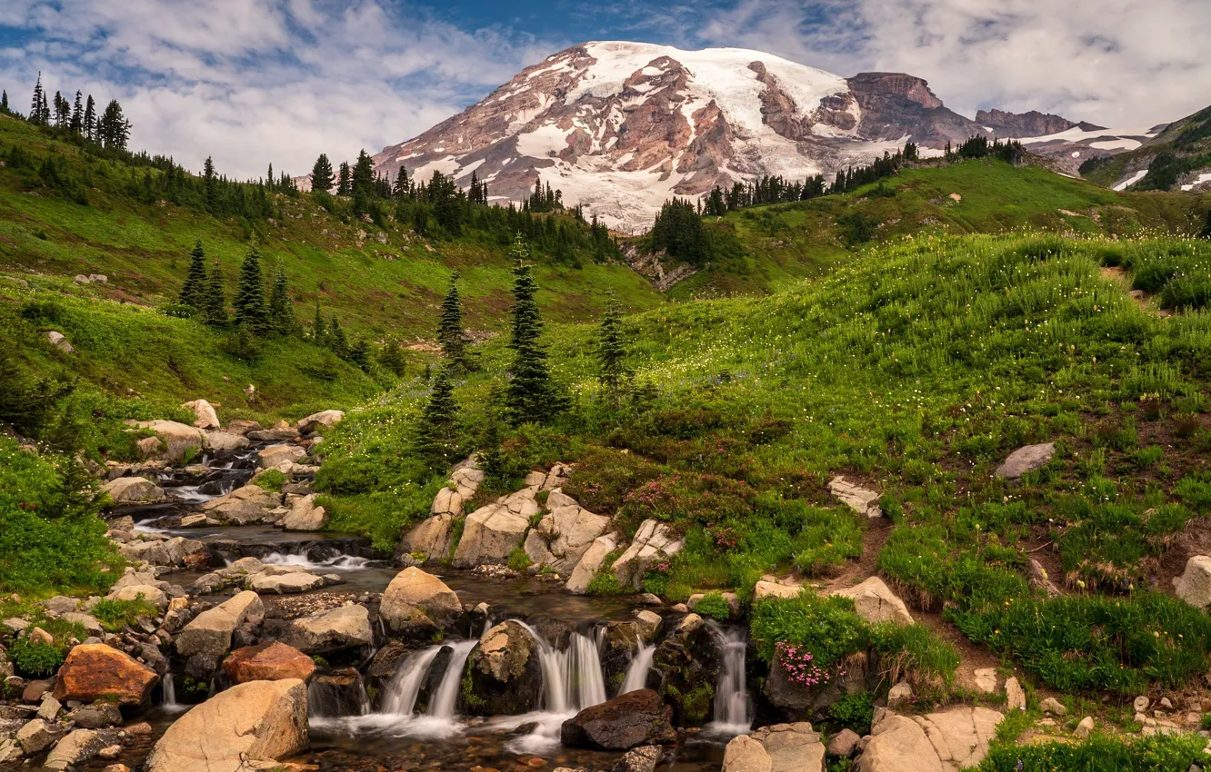 Фото обои зелень, лес, лето, трава, снег, горы, ручей, камни