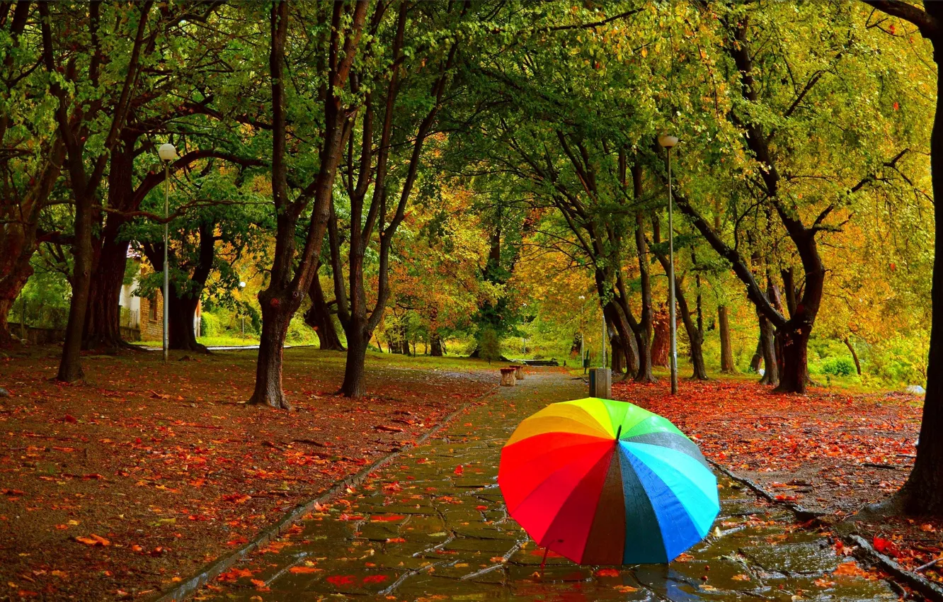 Фото обои Осень, Дождь, Зонтик, Парк, Fall, Листва, Park, Autumn
