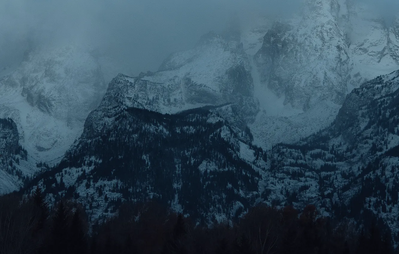 Фото обои зима, лес, снег, деревья, горы, природа, скалы, сумерки