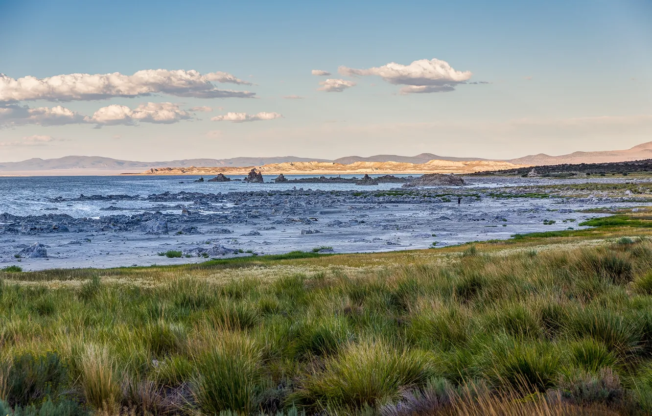 Фото обои california, usa, mono lake