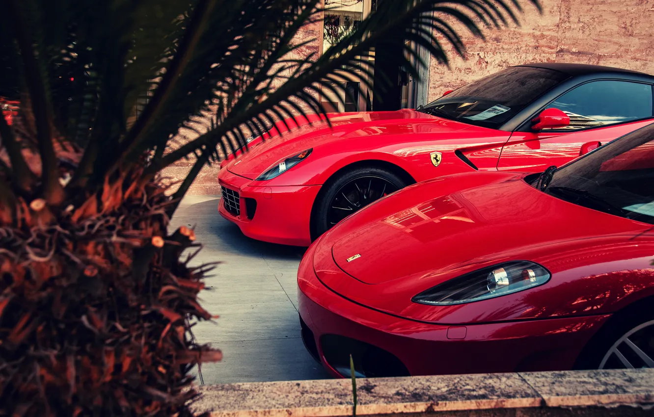 Фото обои красный, F430, Ferrari, red, феррари, 599, GTO, palm