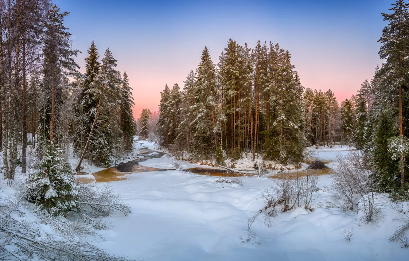 Фото обои зима, лес, река