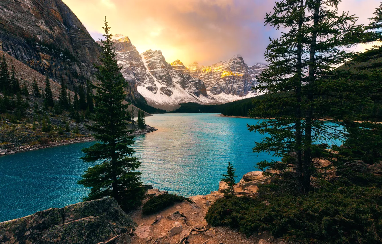 Фото обои деревья, горы, озеро, ели, Канада, Альберта, Banff National Park, Alberta