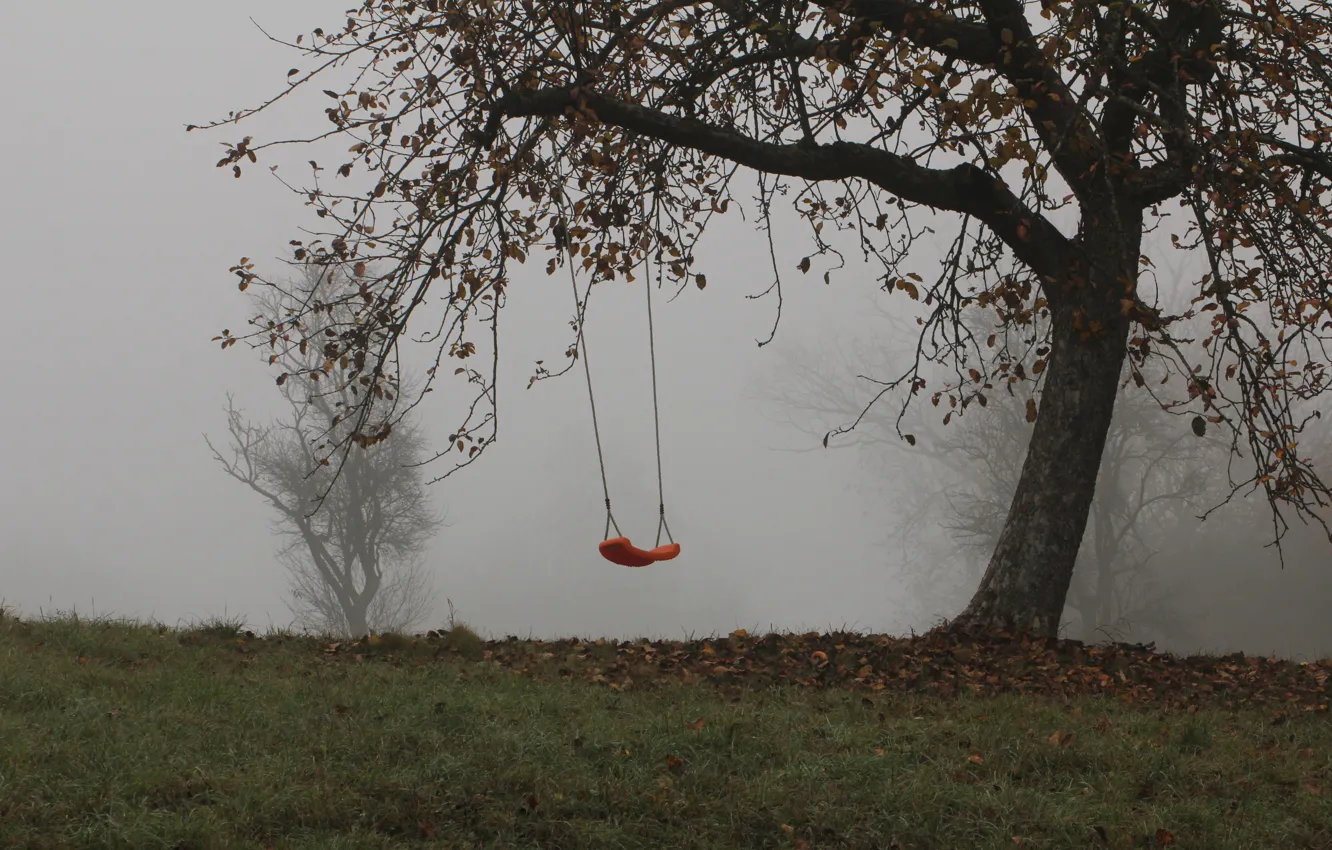Фото обои деревья, туман, качели, Осень, trees, autumn, fog, swing