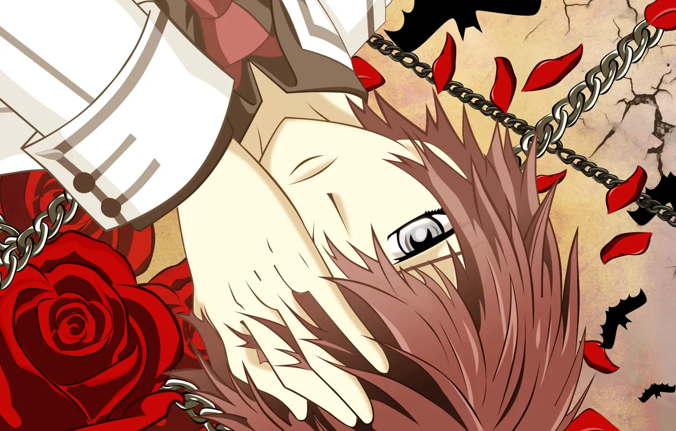 Фото обои рука, лепестки, галстук, парень, красная роза, цепи, школьная форма, art