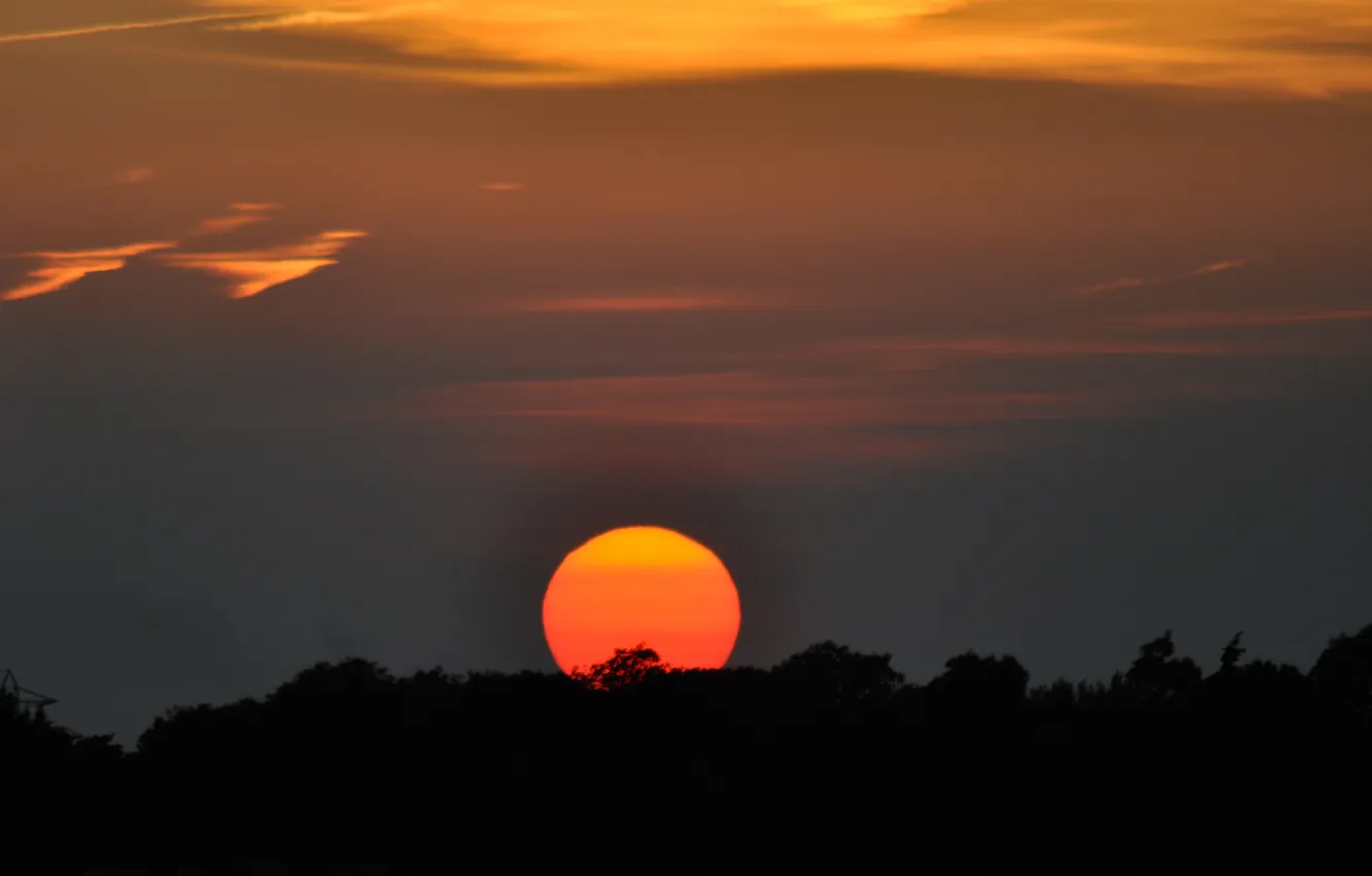 Фото обои небо, солнце, закат, горизонт
