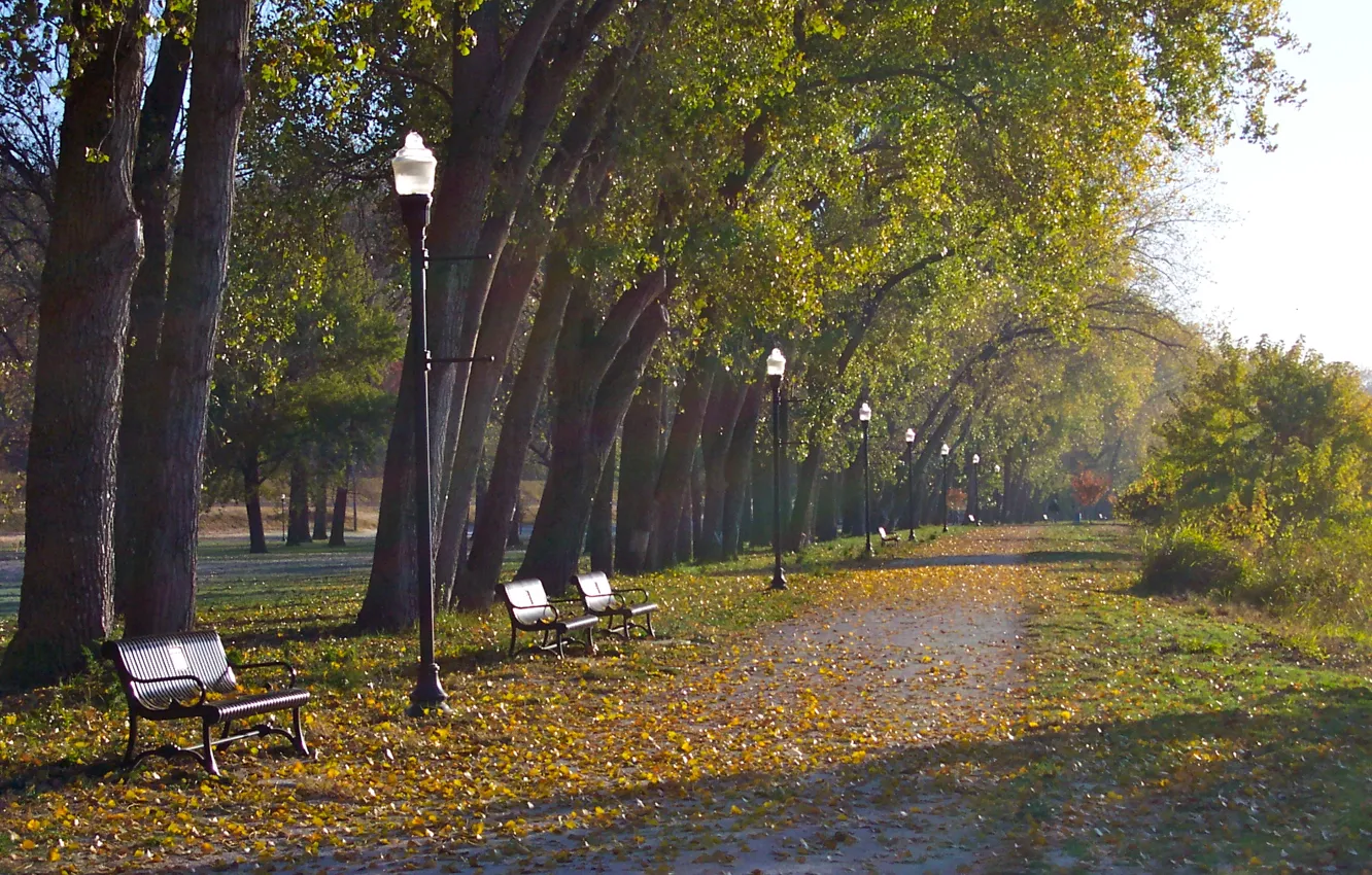 Фото обои осень, листья, деревья, листва, фонари, Парк, скамейки
