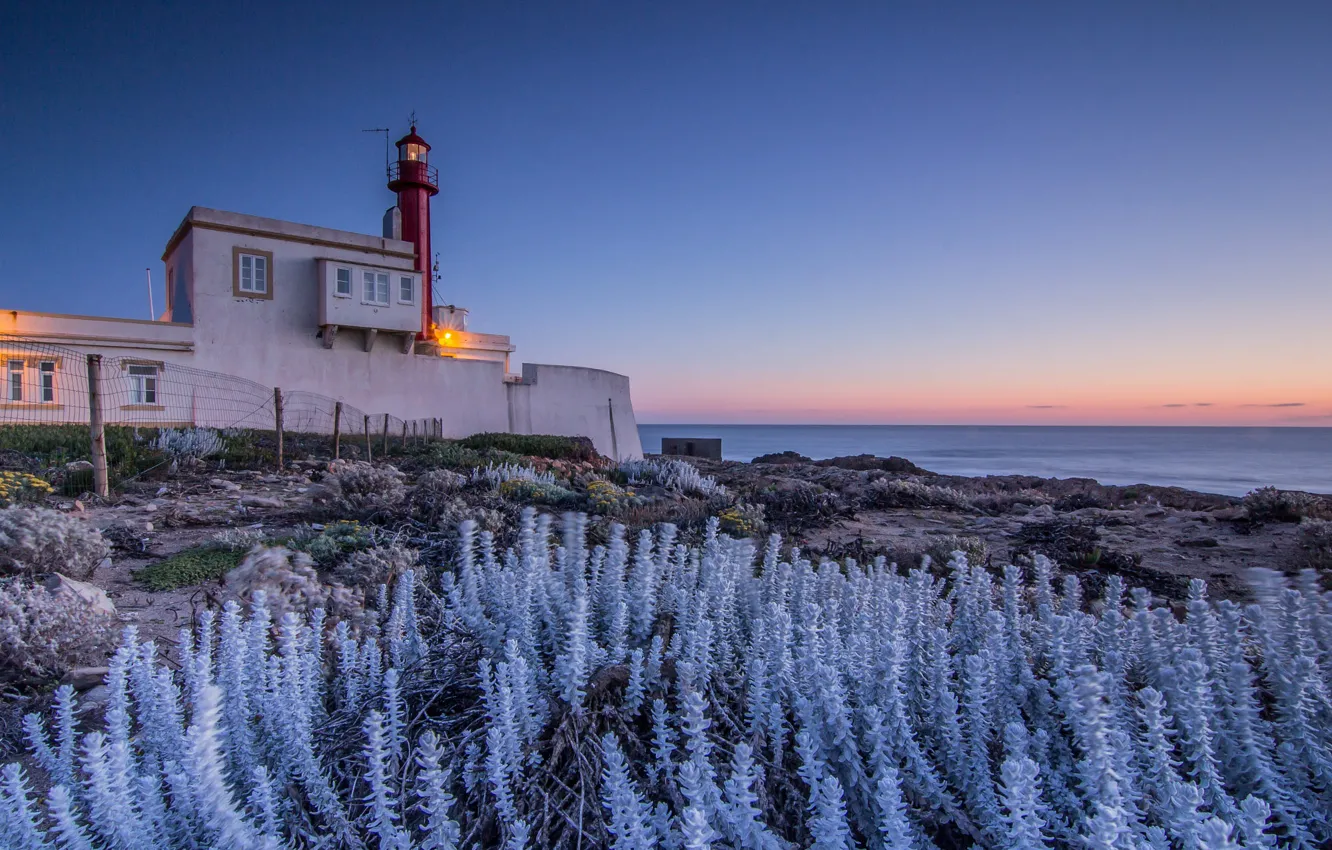 Фото обои свет, закат, океан, берег, растительность, маяк, вечер, Португалия
