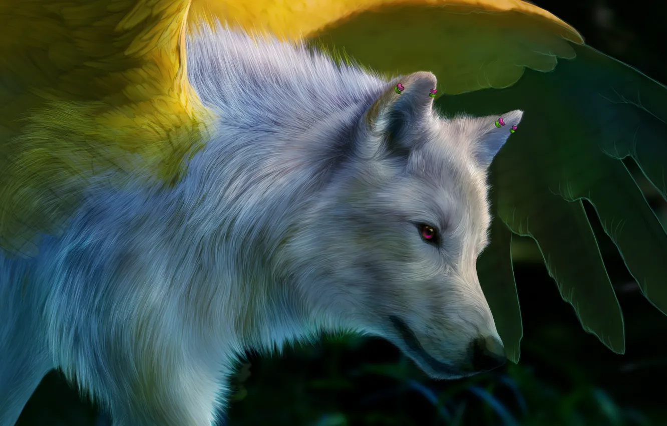 Фото обои белый, крылья, Волк, art, розовые глаза, novawuff
