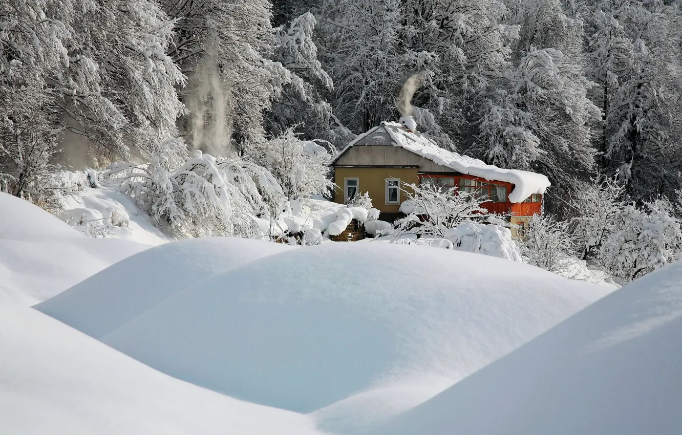 Фото обои зима, снег, деревья, природа, дом, сугробы
