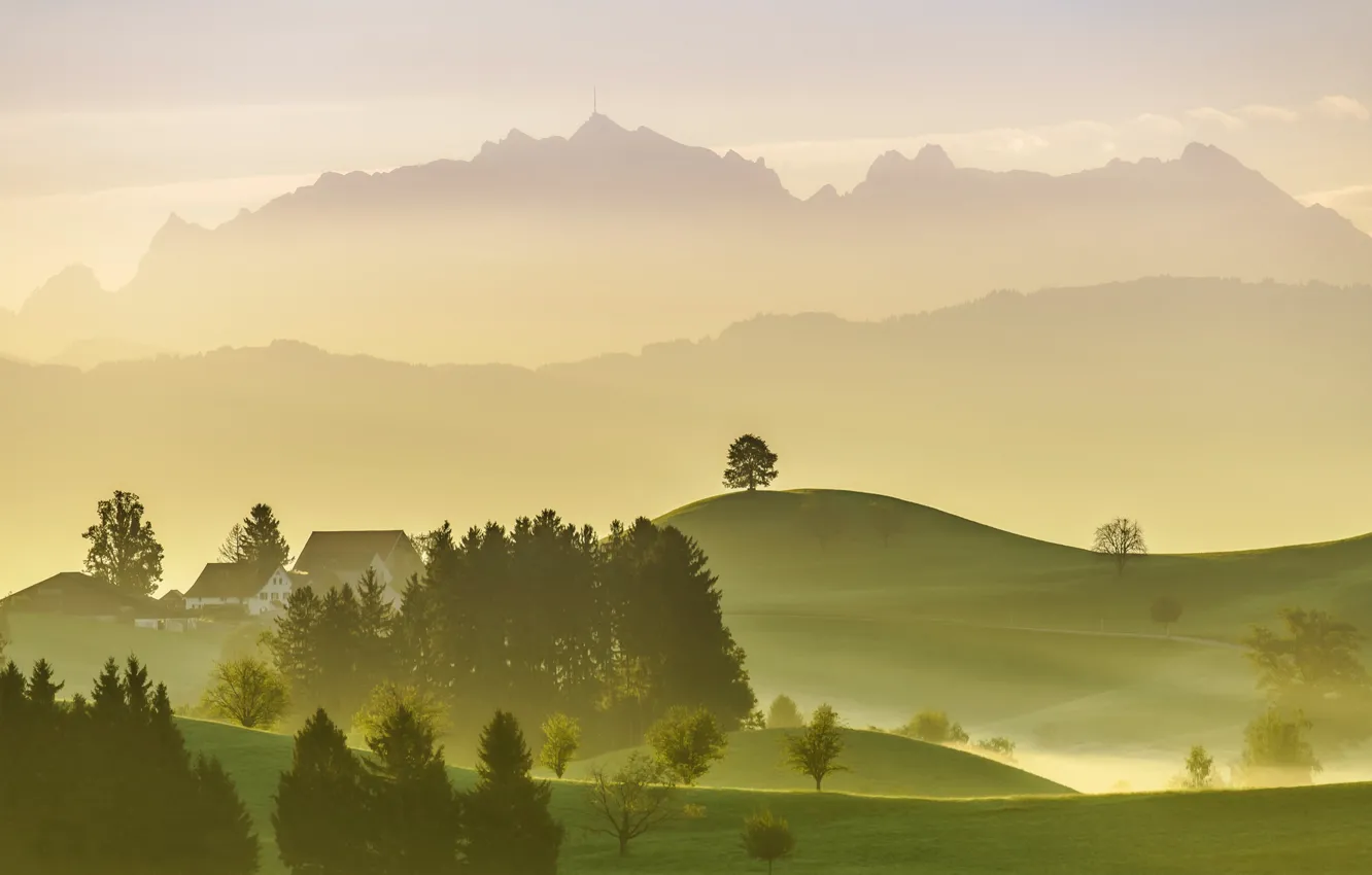 Фото обои деревья, горы, природа, туман, дома, Швейцария