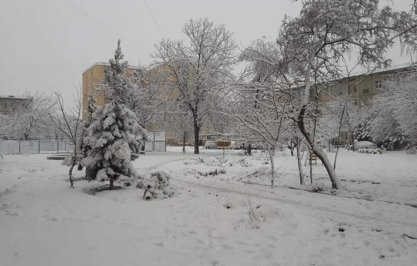 Фото обои zima, Uzbekistan, sneg, Navai, devyatka, kizilkum