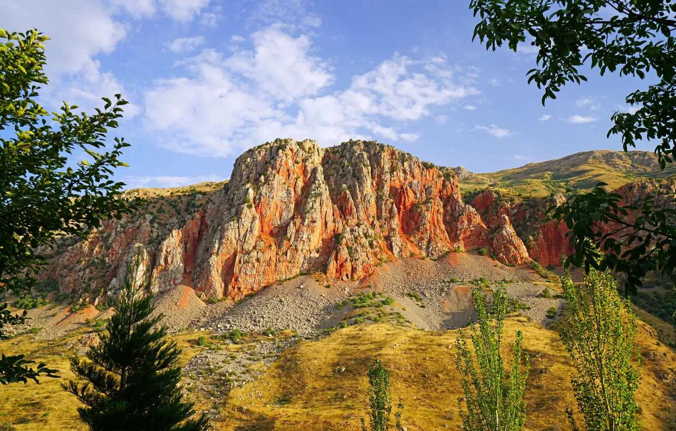 Фото обои деревья, ветки, камни, скалы, солнечно, Армения, Noravank