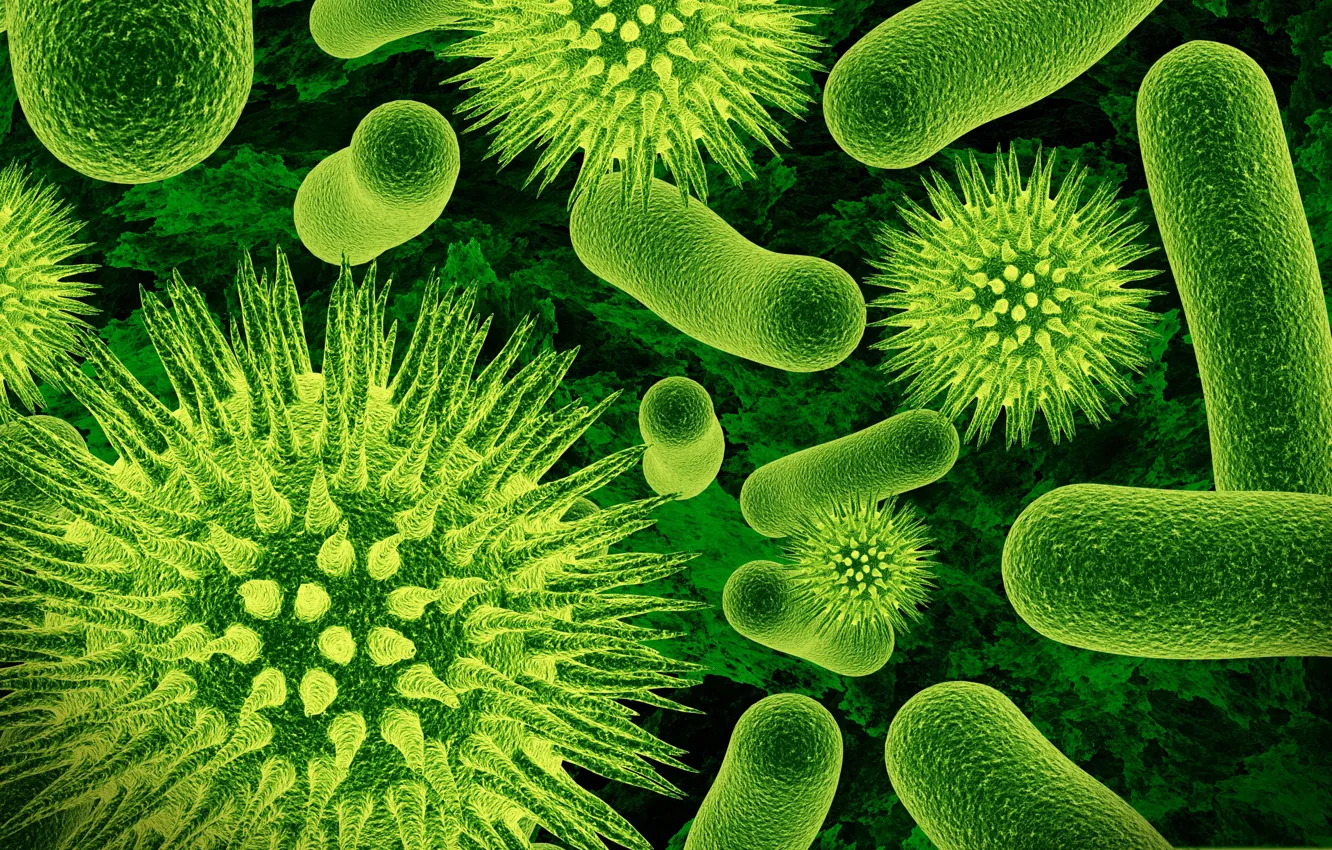 Фото обои биология, увеличение, бактерии, микроорганиЗмы