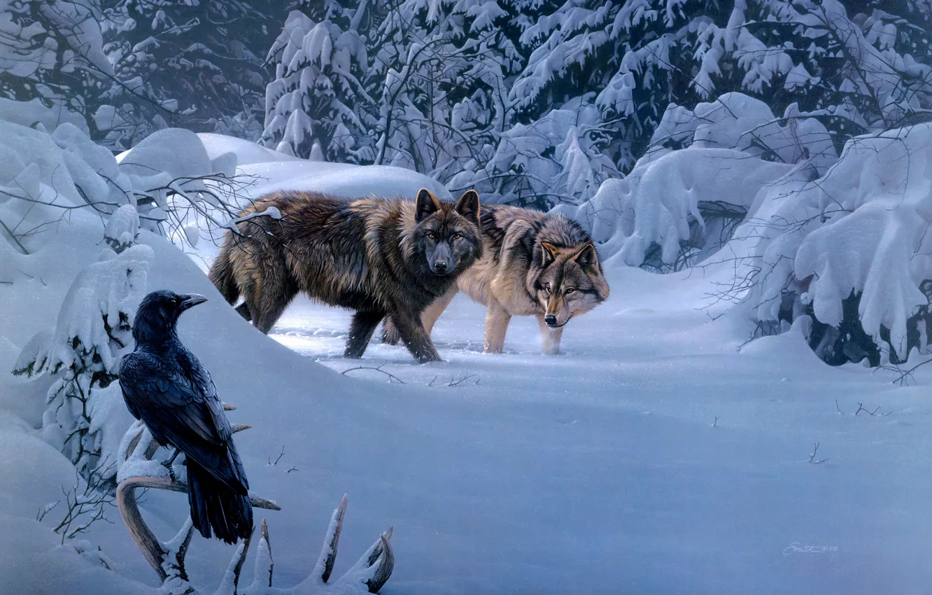 Фото обои зима, птица, волки, ворон, Daniel Smith