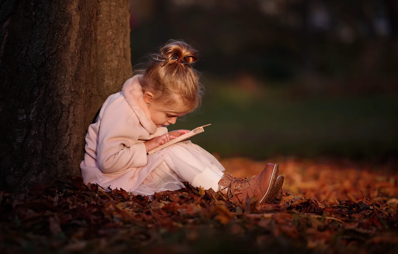 Фото обои дерево, листва, девочка, книжка, боке