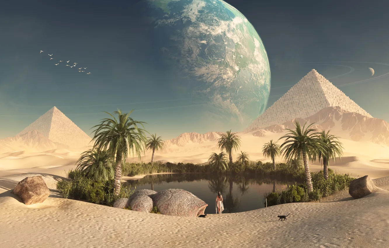 Фото обои девушка, кошки, пустыня, планета, оазис