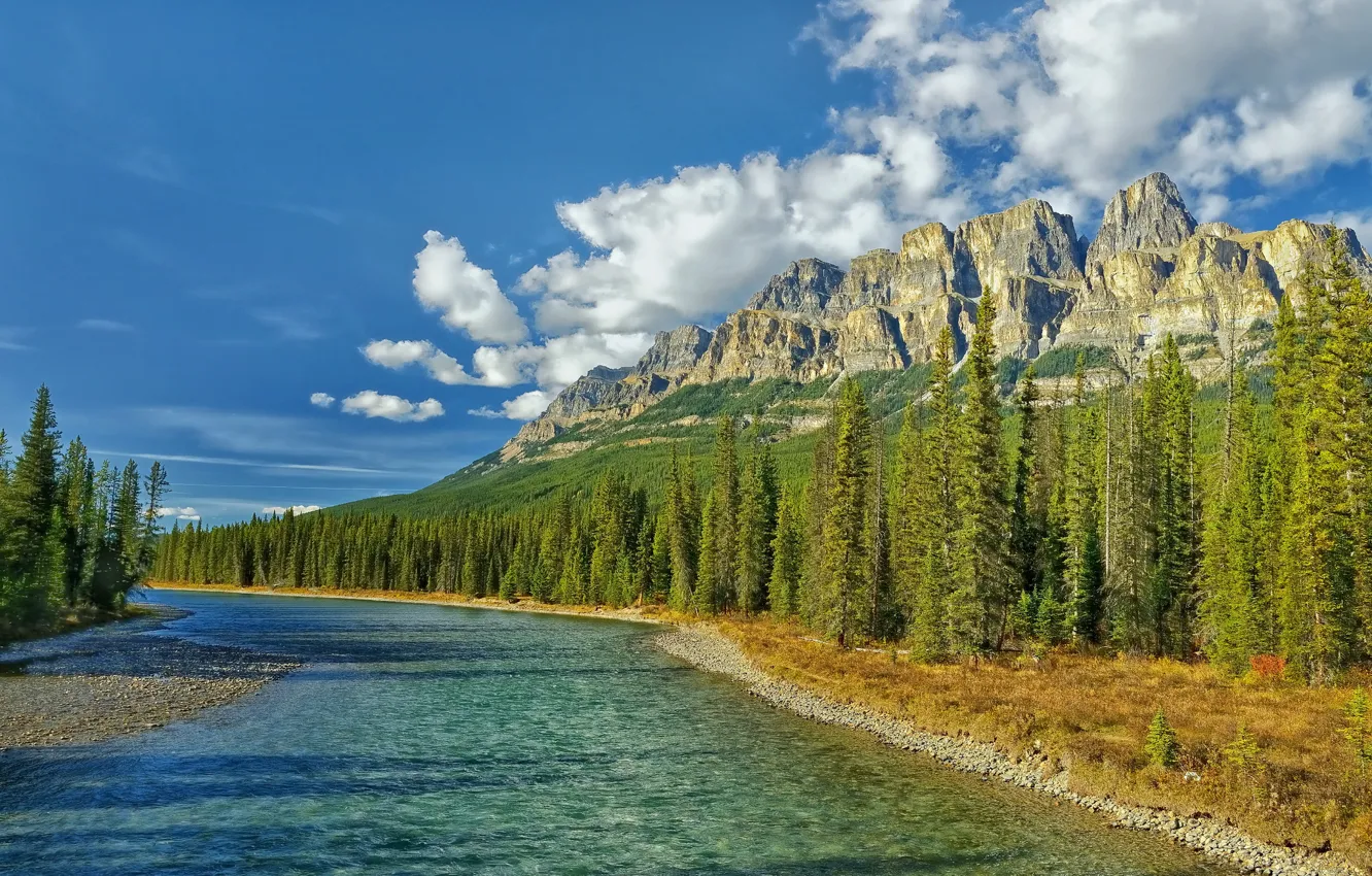 Фото обои лес, облака, горы, река, камни, ель, канада, хвойные