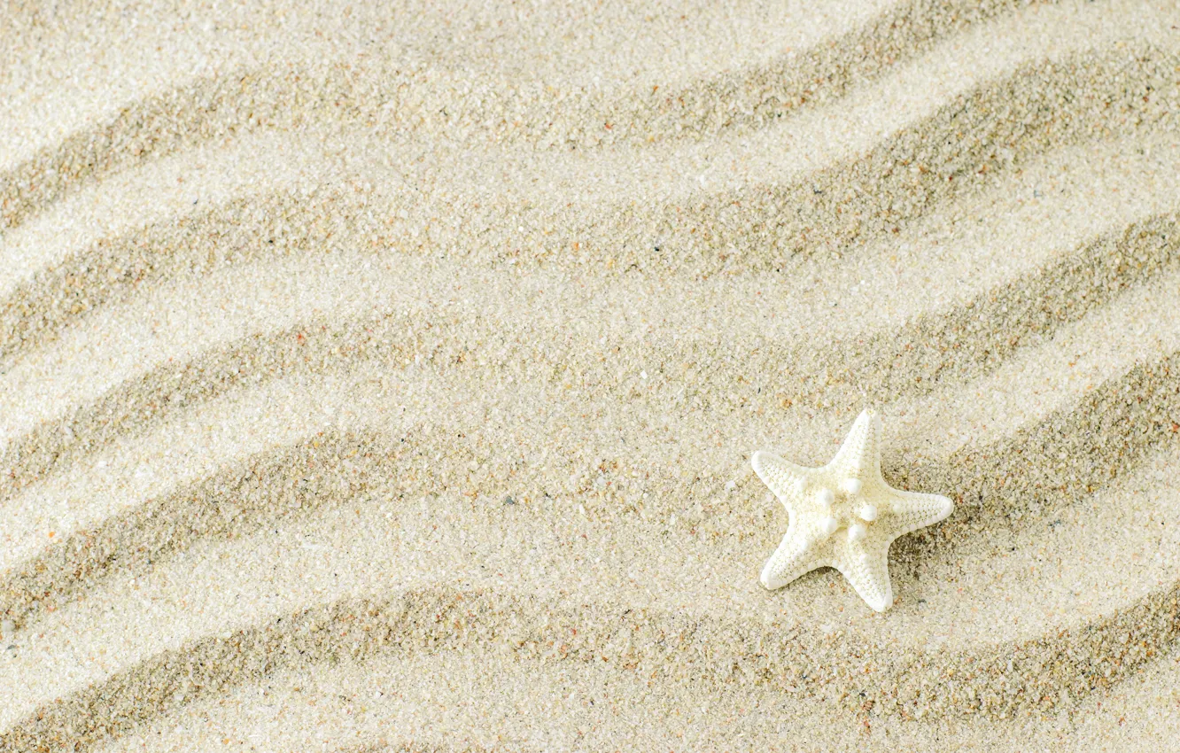 Фото обои песок, фон, морская звезда, beach, texture, background, sand, marine