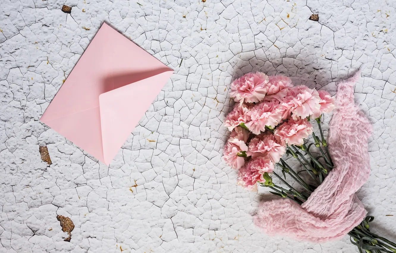 Фото обои цветы, розовые, wood, pink, гвоздика, flowers, конверт