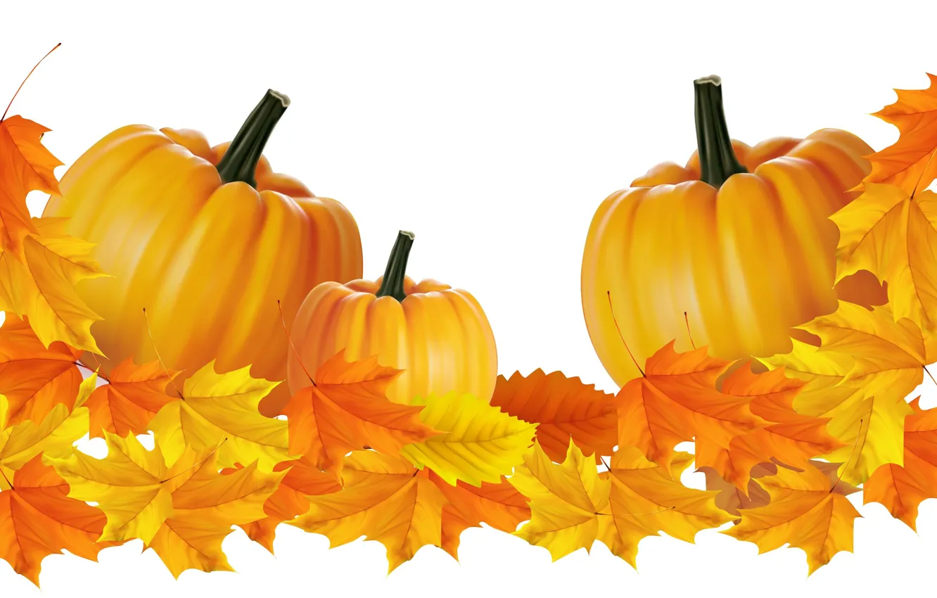 Фото обои осень, листья, тыквы, векторная графика