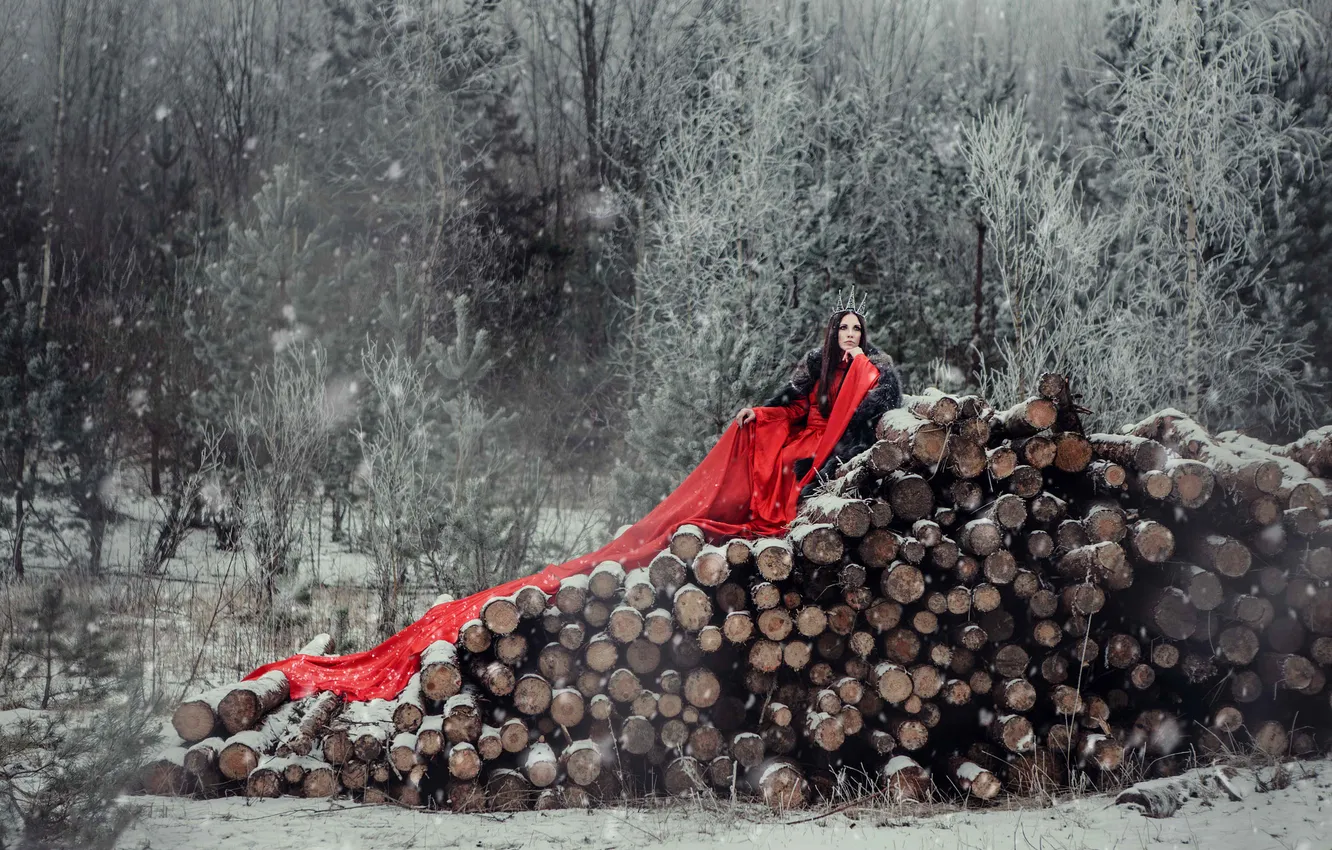 Фото обои зима, лес, взгляд, девушка, снег, природа, поза, стиль