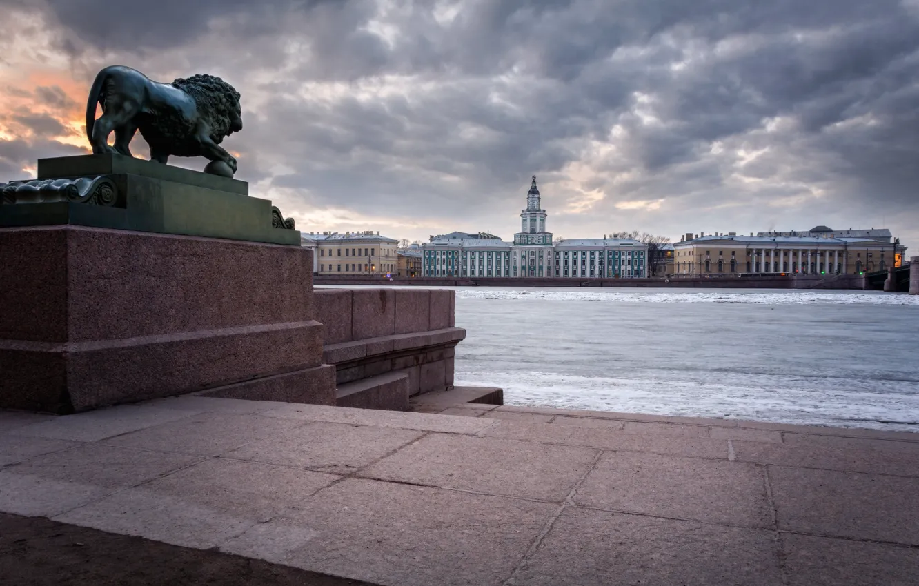Фото обои река, здания, лев, Санкт-Петербург, скульптура, Россия, набережная, Кунсткамера