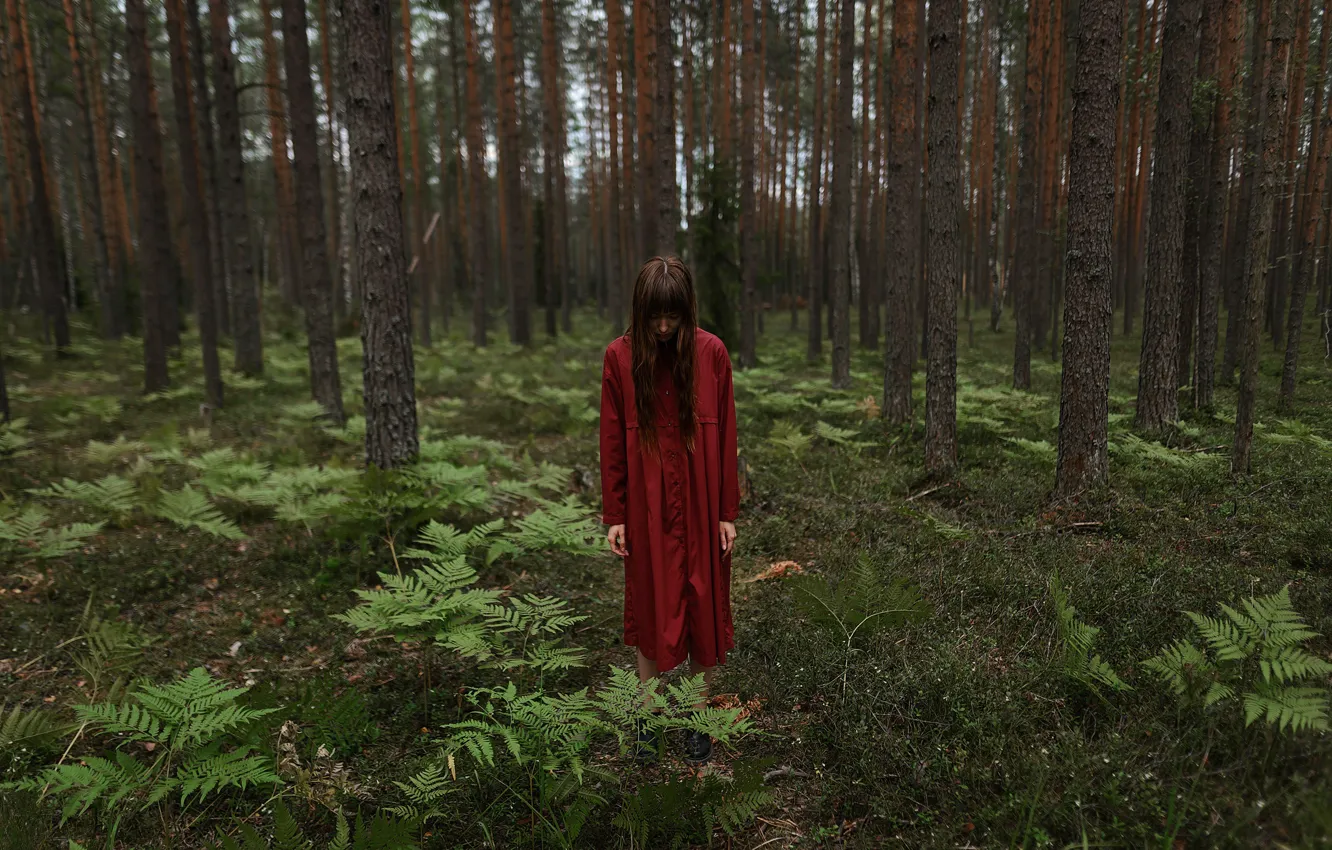 Фото обои девушка, в лесу, Aleks Five