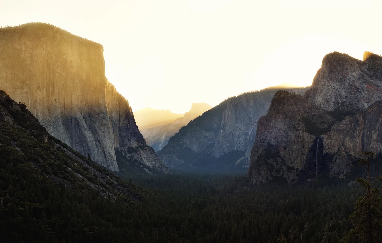 Фото обои лес, горы, национальный парк, Yosemite National Park, Burning Edges