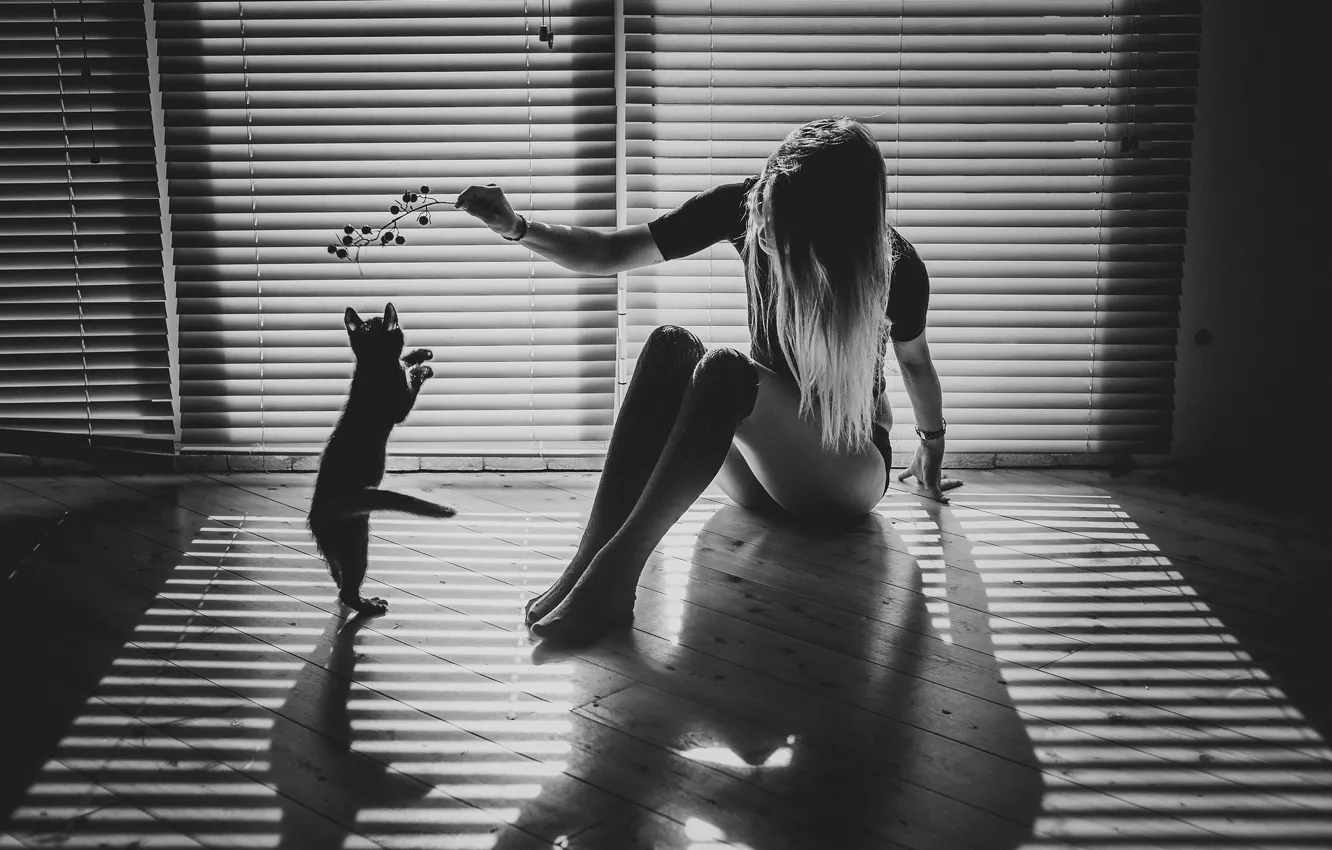 Фото обои кошка, девушка, свет, веточка, комната, игра, тени, монохром