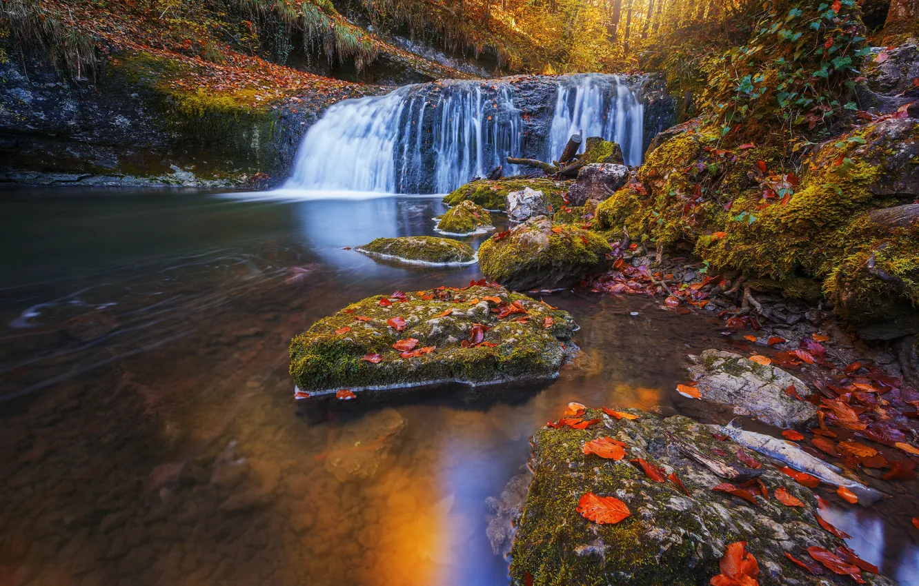 Фото обои осень, лес, листья, река, камни, Франция, водопад, каскад