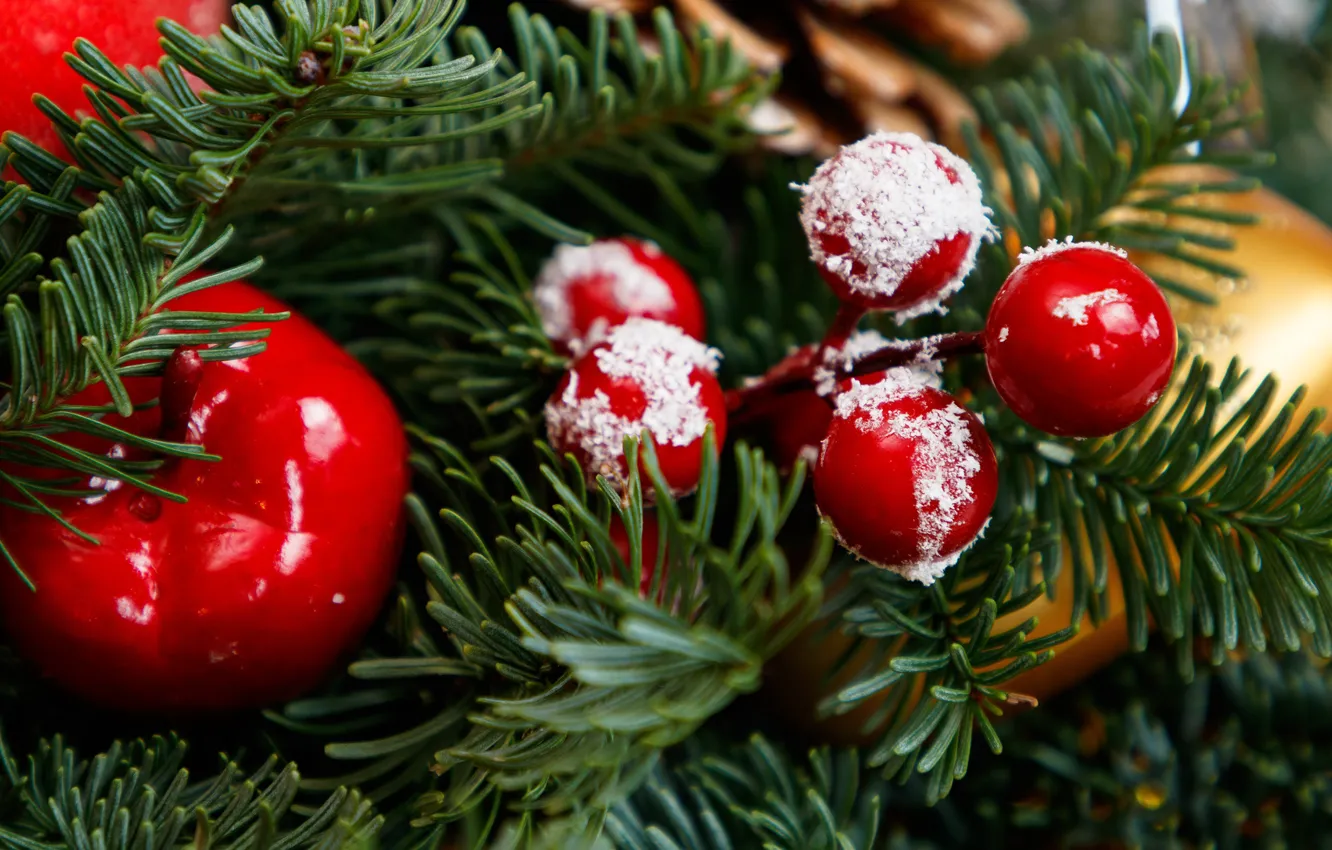 Фото обои зима, ветки, ягоды, праздник, яблоко, шарик, плоды, Рождество
