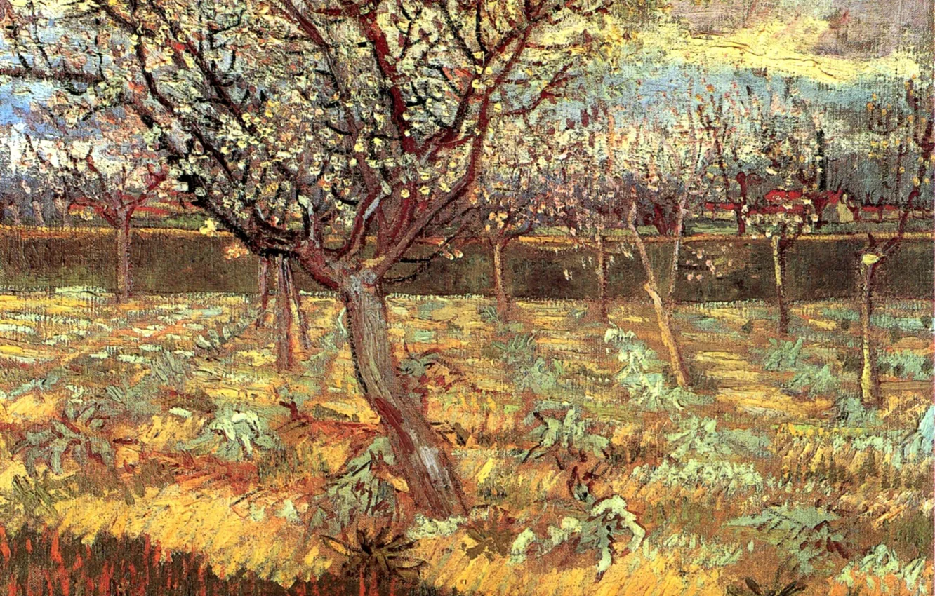 Фото обои Винсент ван Гог, Apricot Trees, in Blossom 2