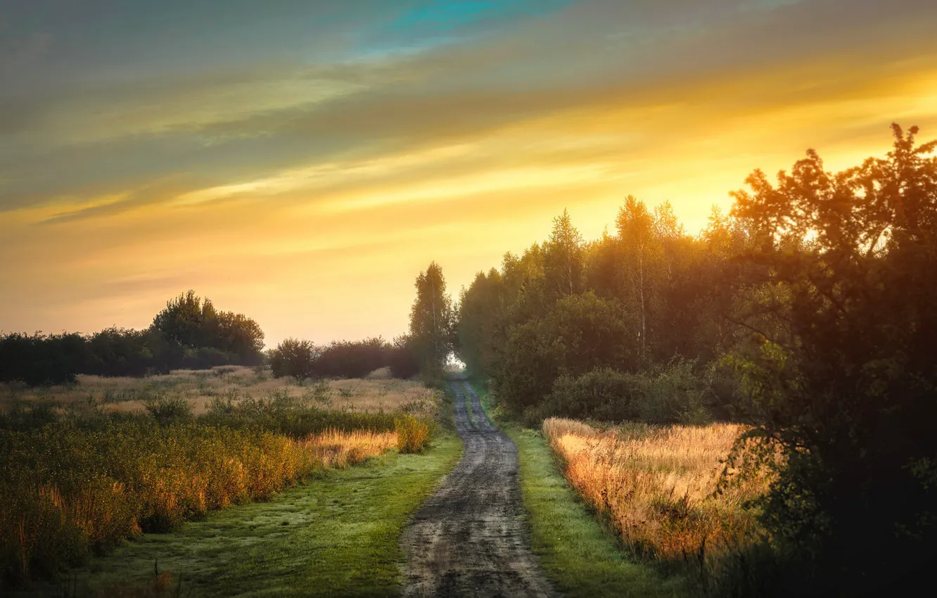 Фото обои дорога, поле, осень, природа