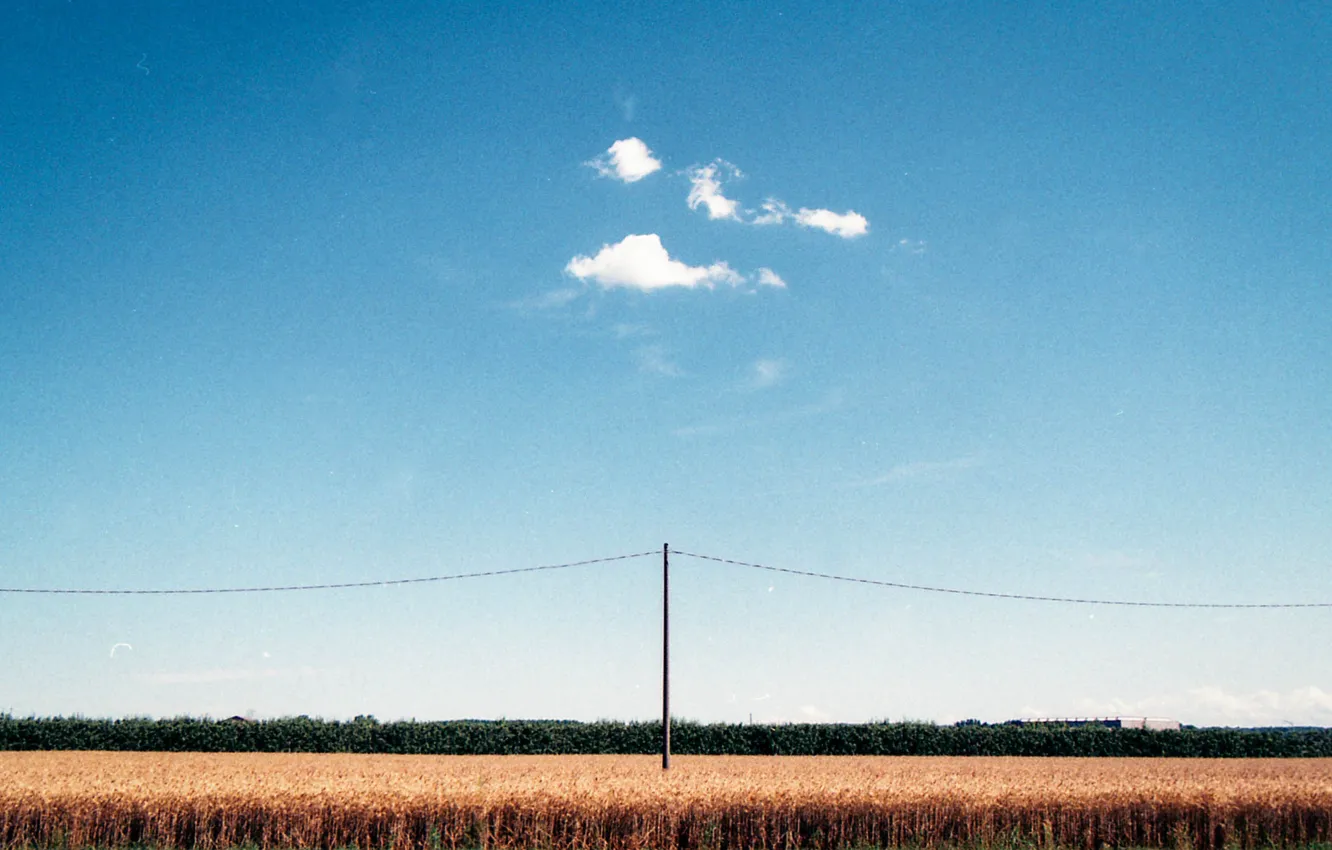 Фото обои summer, sky, clouds, telephone line, corn field