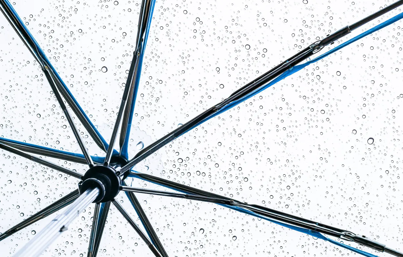 Фото обои umbrella, drops, raining