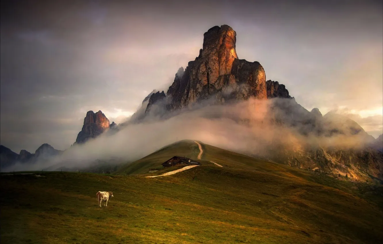 Фото обои небо, горы, дом, корова