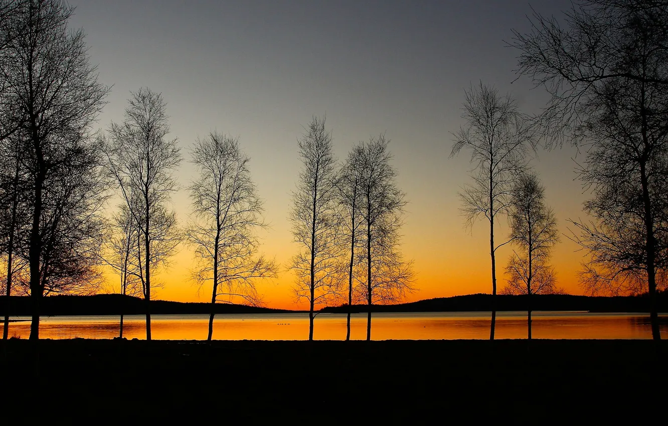 Фото обои небо, деревья, озеро, вечер, силуэт, зарево