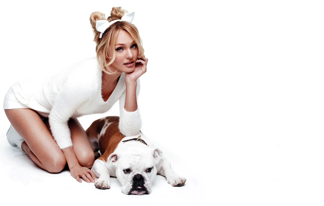 Фото обои белый, девушка, поза, фон, модель, собака, блондинка, Кэндис Свейнпол