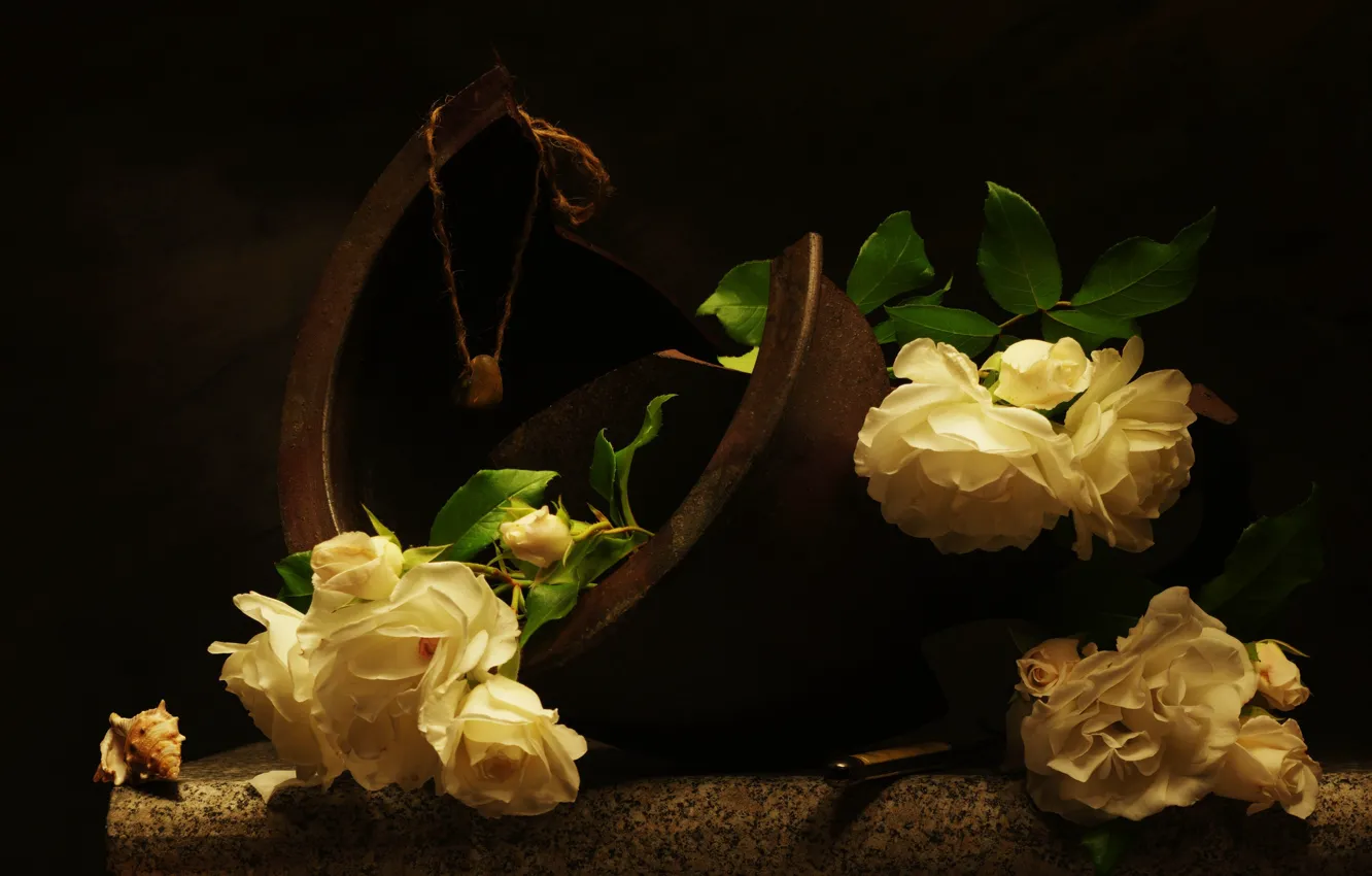 Фото обои цветы, камень, розы, ракушка, натюрморт, куриный бог